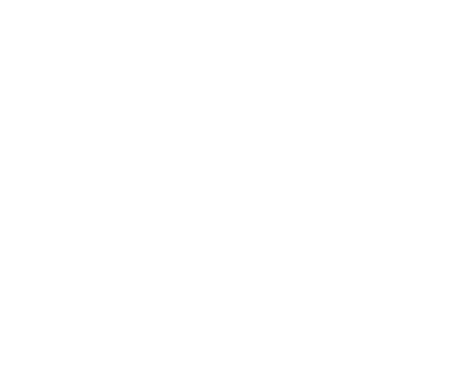 SeloPOS brand icon